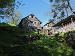 sdas16 010m : sdas16